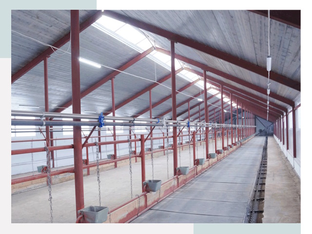 Строительство коровников в Сыктывкаре от 619 руб.