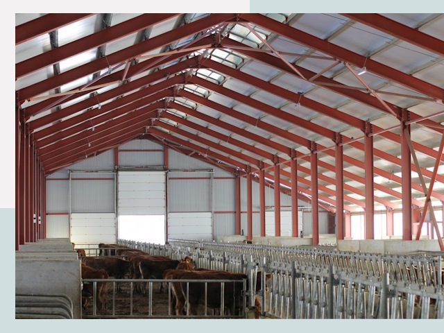 Строительство коровников в Сыктывкаре