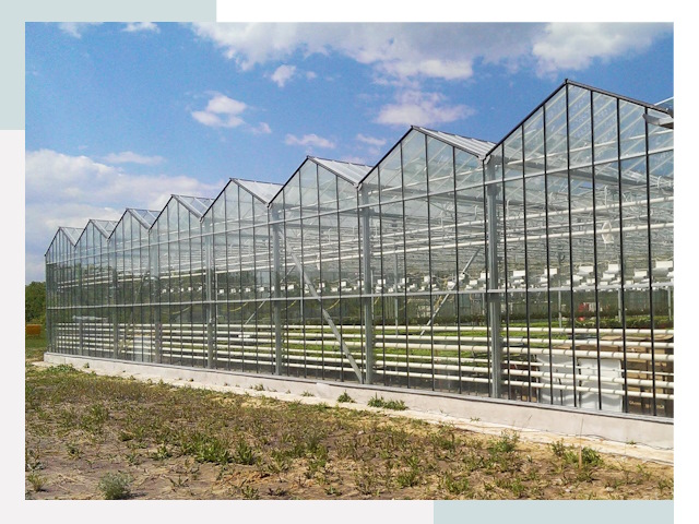 Строительство теплиц в Сыктывкар от 619 руб. за м²