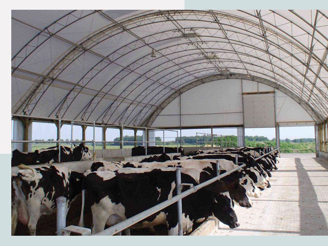 Тентовые коровники в Сыктывкаре